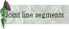 Joint line segments