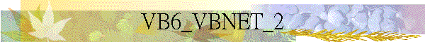 VB6_VBNET_2